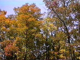 Great Sunny Fall Weather again this time.
